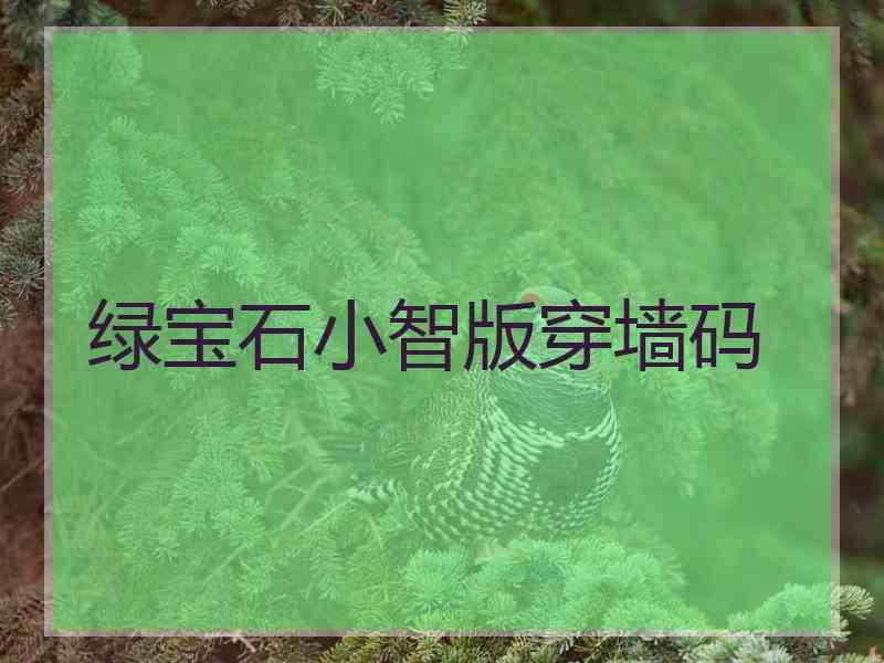 绿宝石小智版穿墙码