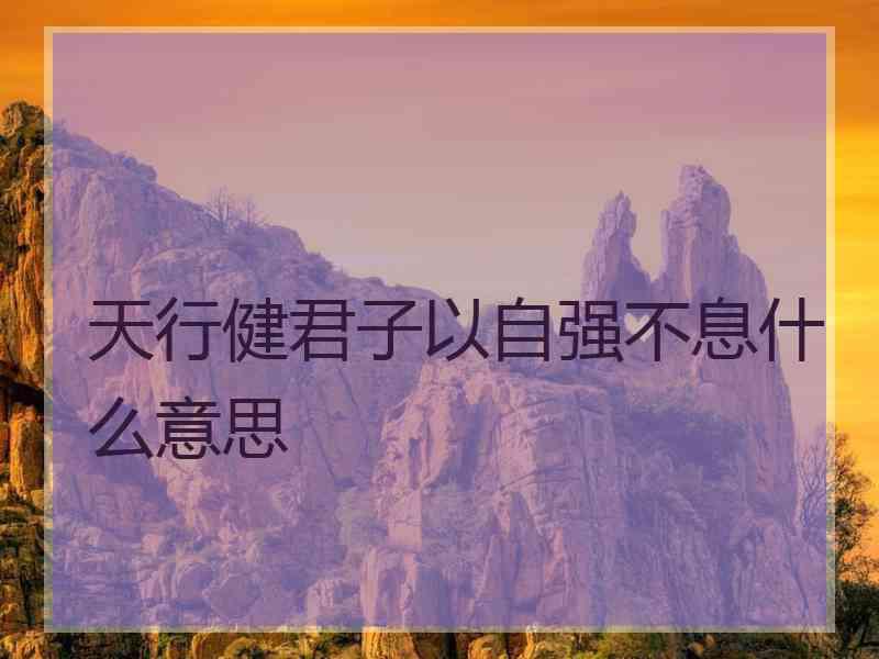 天行健君子以自强不息什么意思