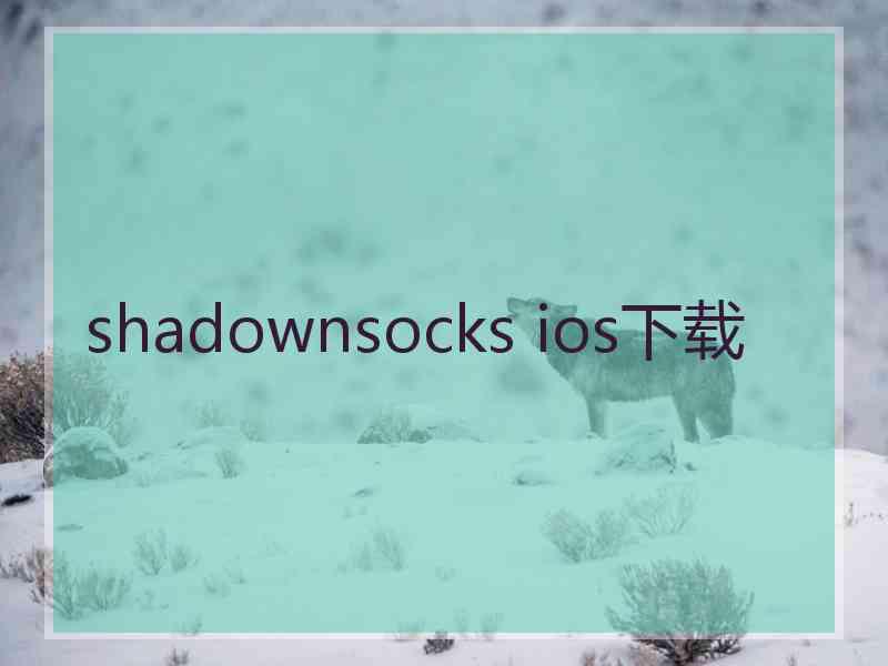 shadownsocks ios下载