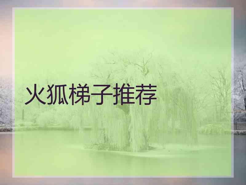 火狐梯子推荐