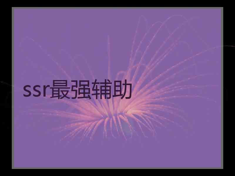 ssr最强辅助