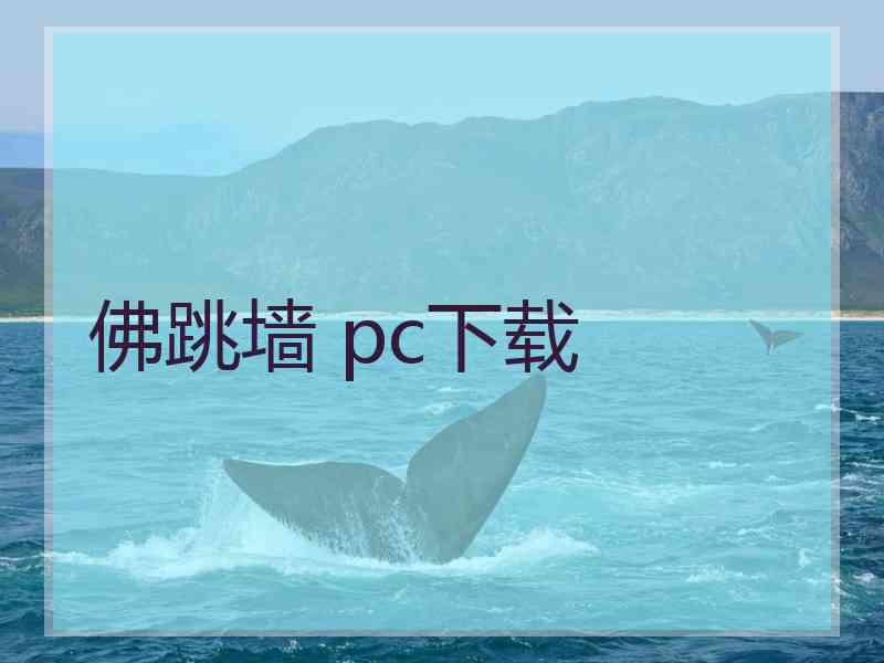 佛跳墙 pc下载