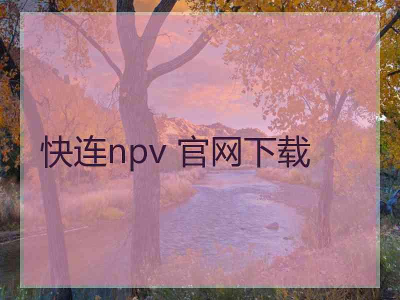 快连npv 官网下载