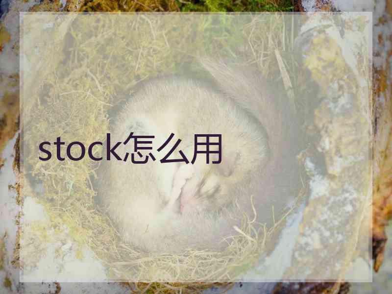 stock怎么用