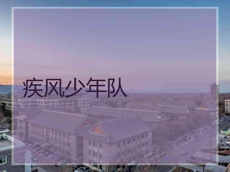 疾风少年队