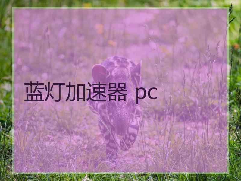 蓝灯加速器 pc