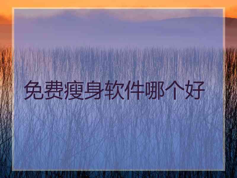 免费瘦身软件哪个好