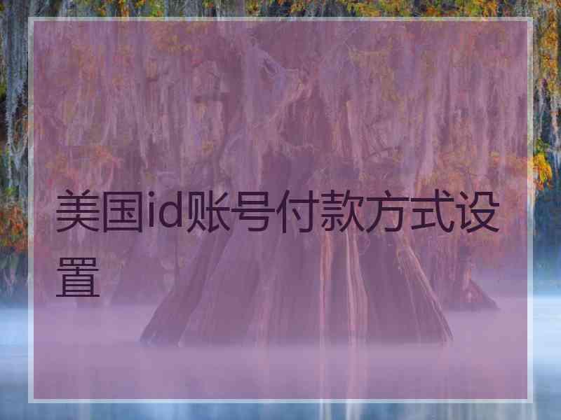 美国id账号付款方式设置