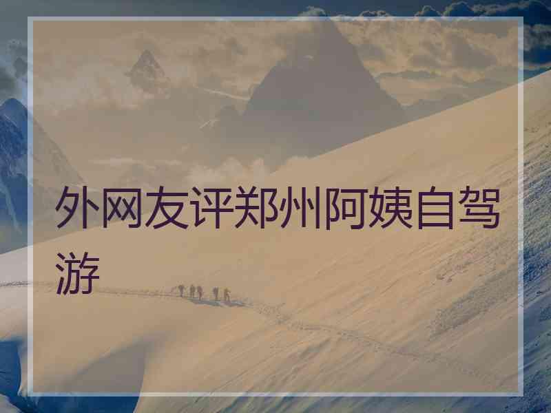 外网友评郑州阿姨自驾游
