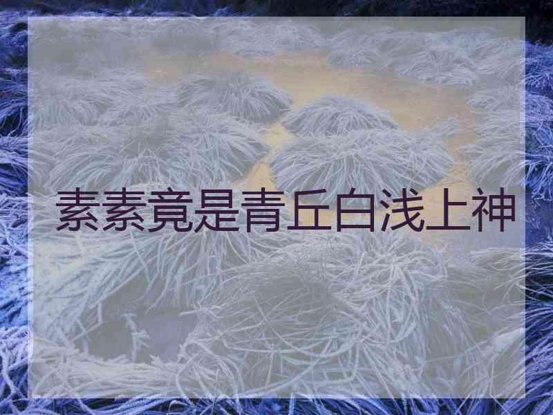 素素竟是青丘白浅上神