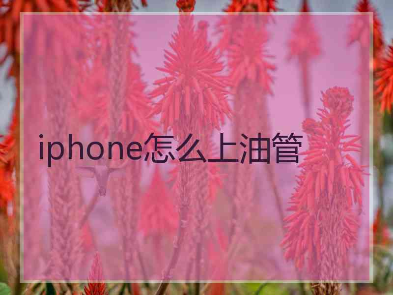 iphone怎么上油管