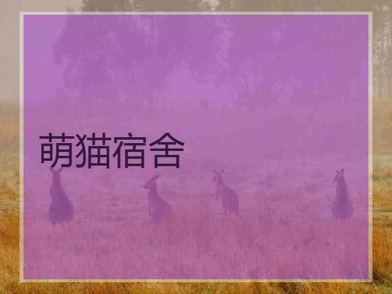 萌猫宿舍