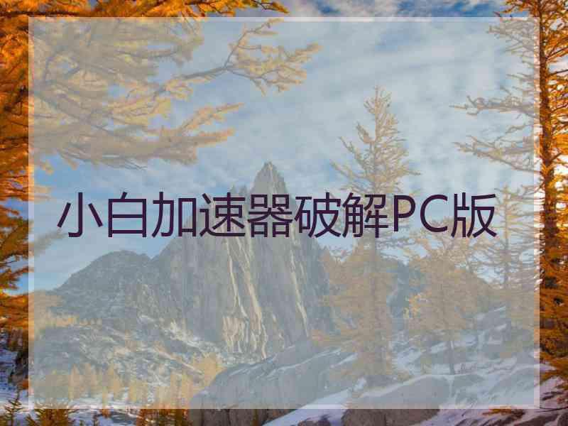 小白加速器破解PC版