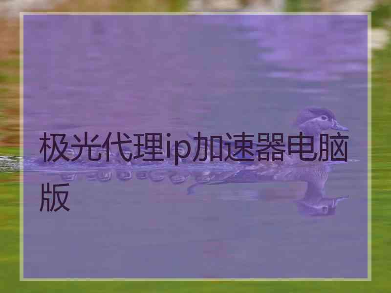 极光代理ip加速器电脑版