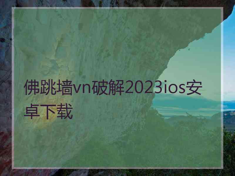 佛跳墙vn破解2023ios安卓下载