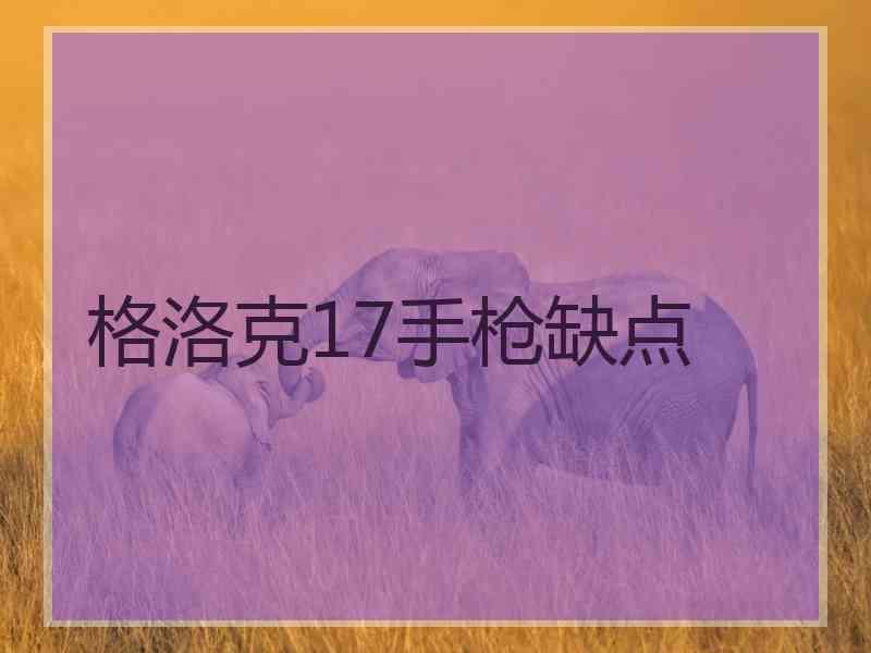 格洛克17手枪缺点