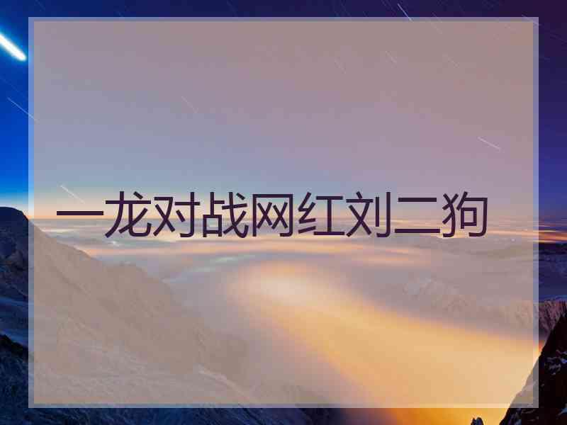一龙对战网红刘二狗