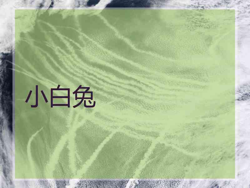 小白兔