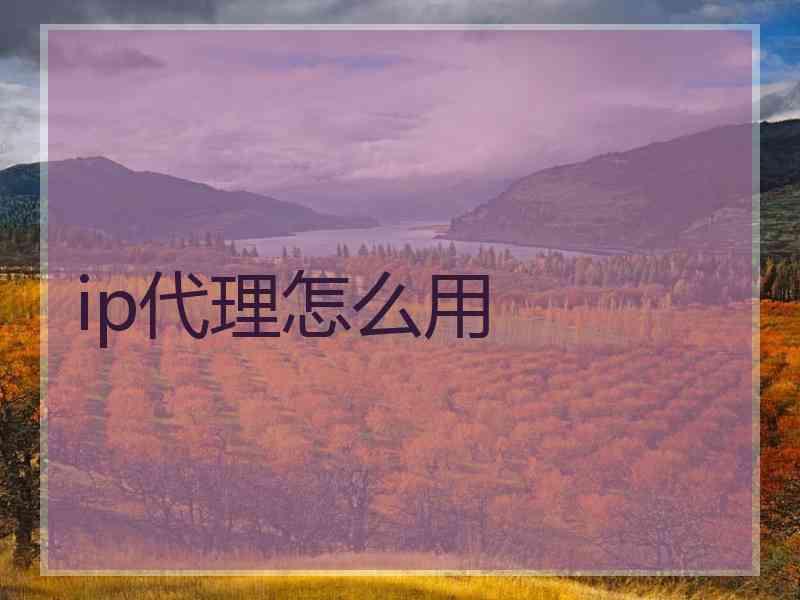 ip代理怎么用