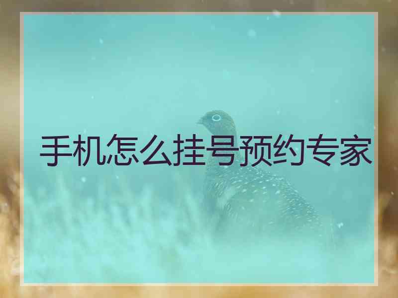 手机怎么挂号预约专家
