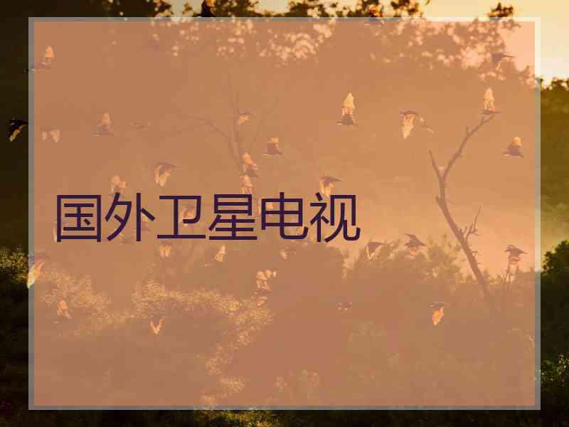 国外卫星电视