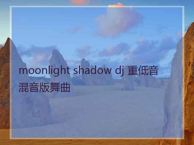 moonlight shadow dj 重低音混音版舞曲