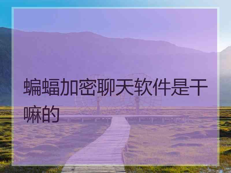 蝙蝠加密聊天软件是干嘛的