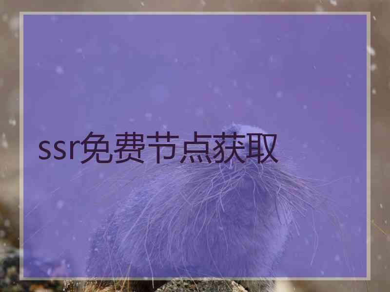 ssr免费节点获取