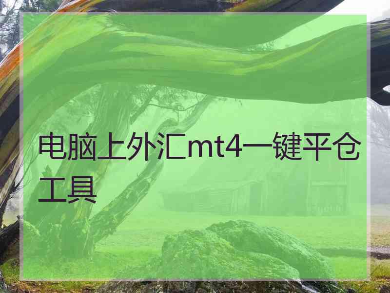 电脑上外汇mt4一键平仓工具