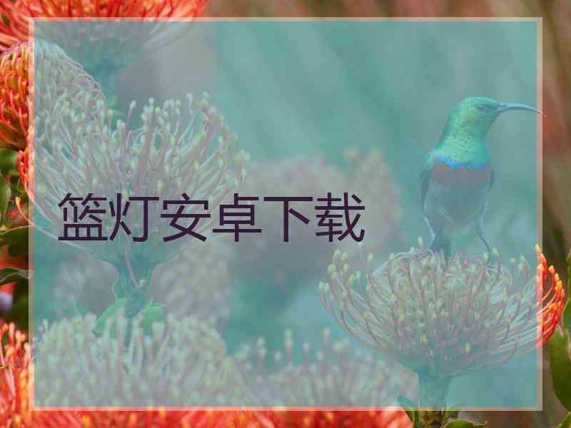篮灯安卓下载