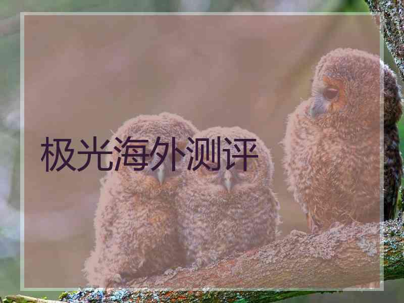 极光海外测评
