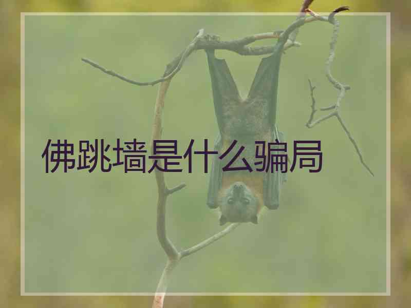 佛跳墙是什么骗局