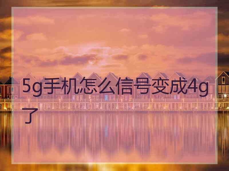 5g手机怎么信号变成4g了