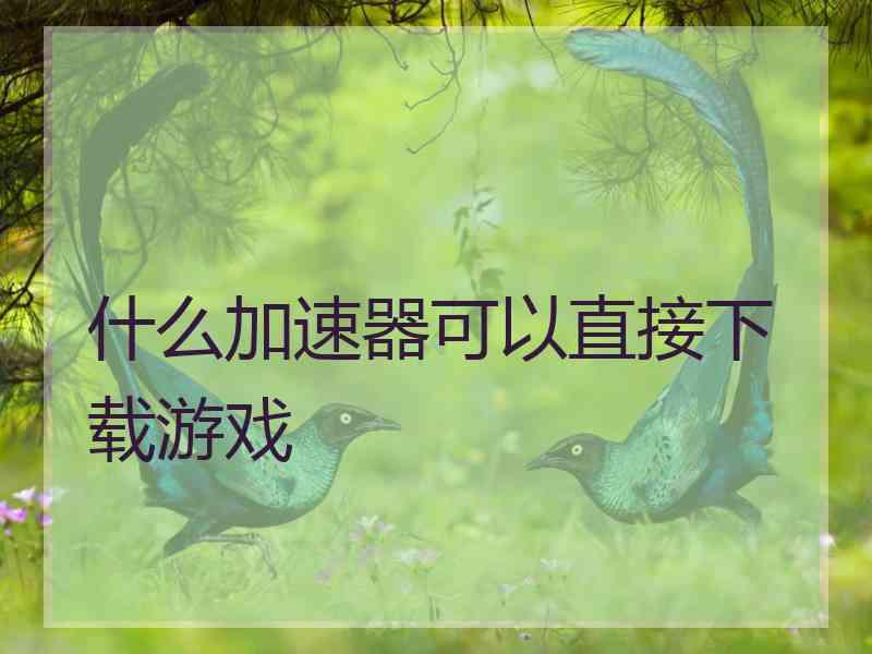 什么加速器可以直接下载游戏