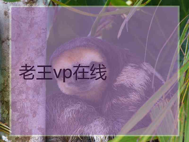 老王vp在线