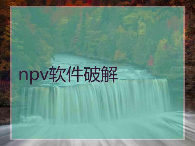 npv软件破解