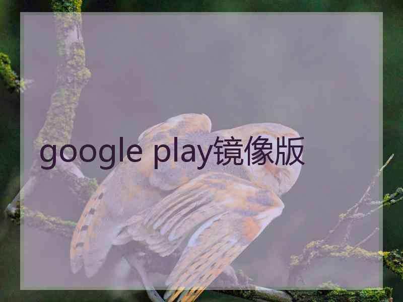 google play镜像版