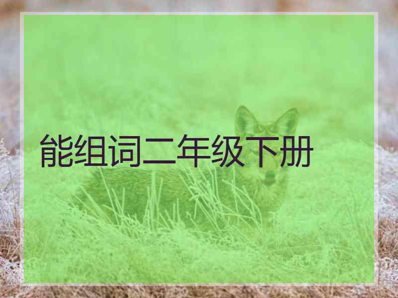 能组词二年级下册