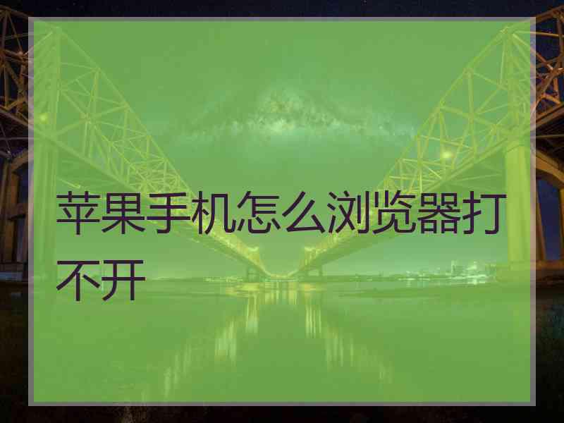苹果手机怎么浏览器打不开