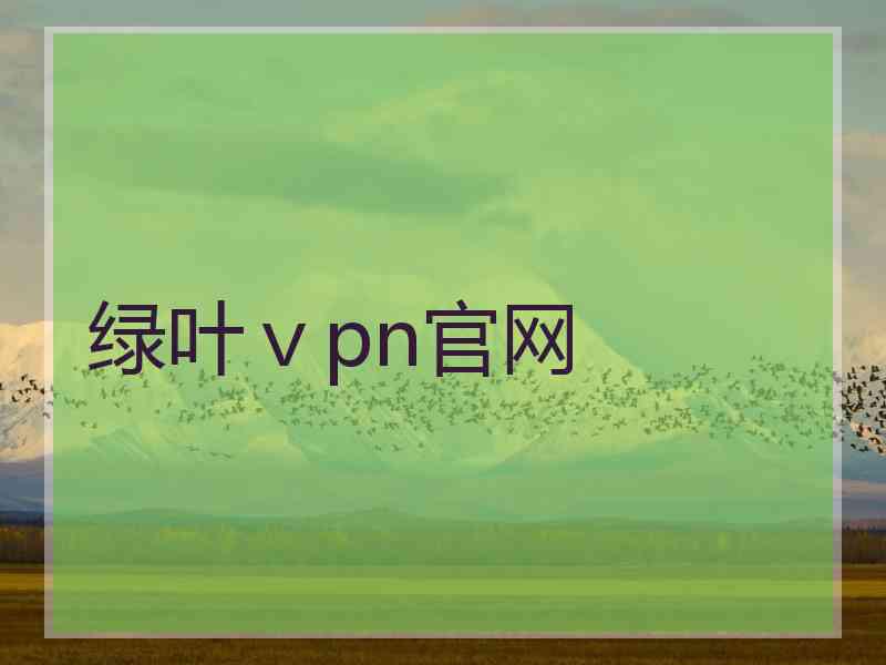 绿叶ⅴpn官网