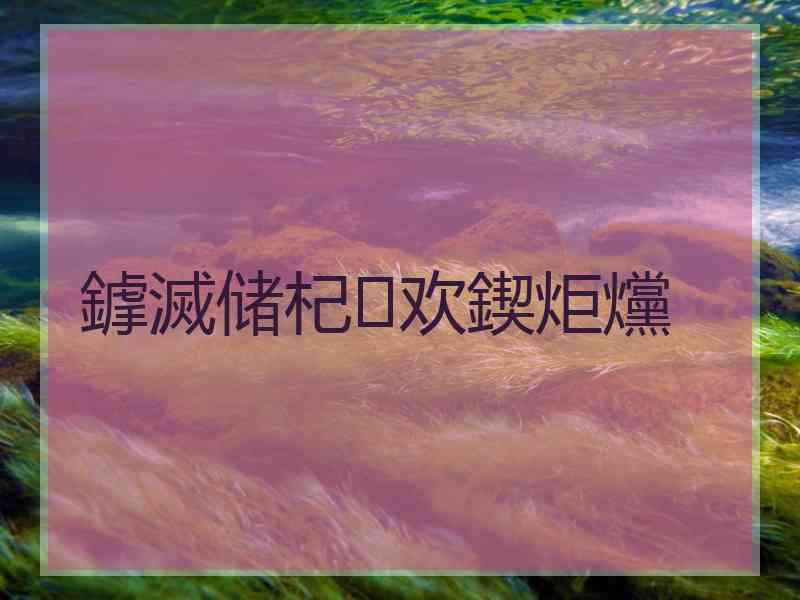 鎼滅储杞欢鍥炬爣