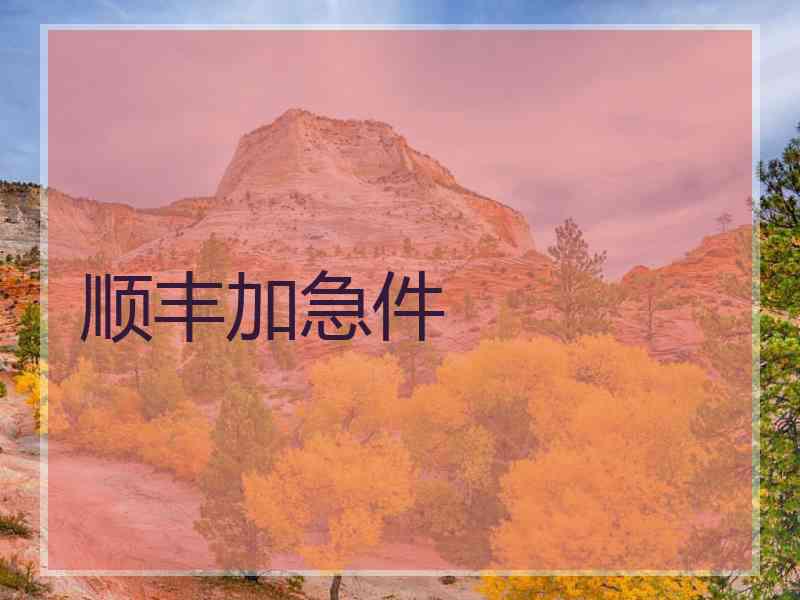 顺丰加急件