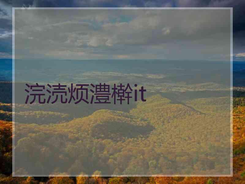 浣涜烦澧檊it