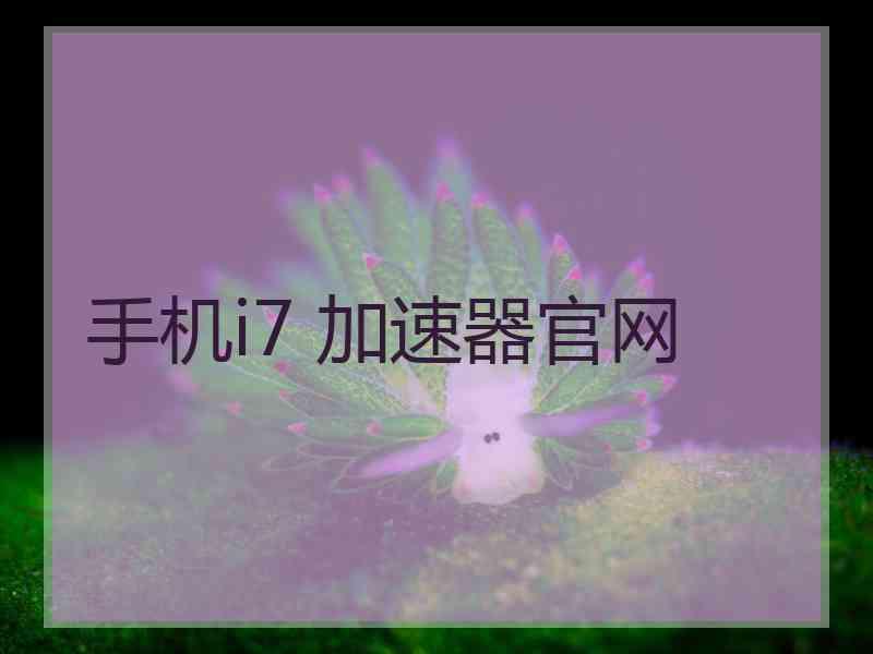 手机i7 加速器官网