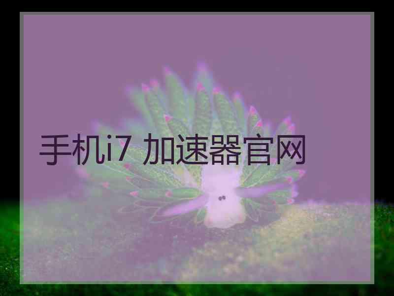 手机i7 加速器官网