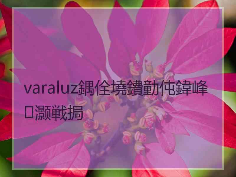 varaluz鍝佺墝鐨勭伅鍏峰灏戦挶