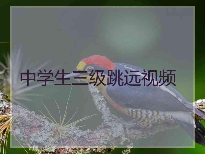 中学生三级跳远视频