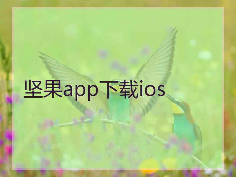 坚果app下载ios