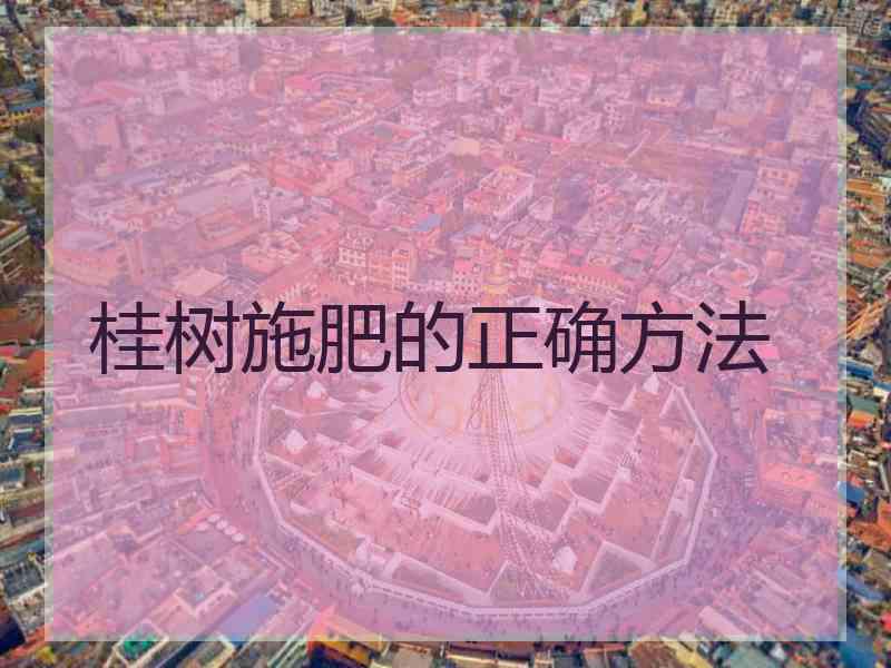 桂树施肥的正确方法