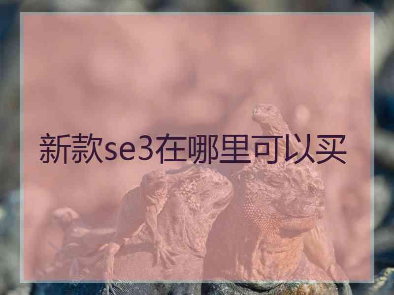 新款se3在哪里可以买